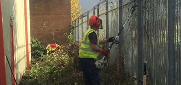 Terminator Pest Control Wood Worm