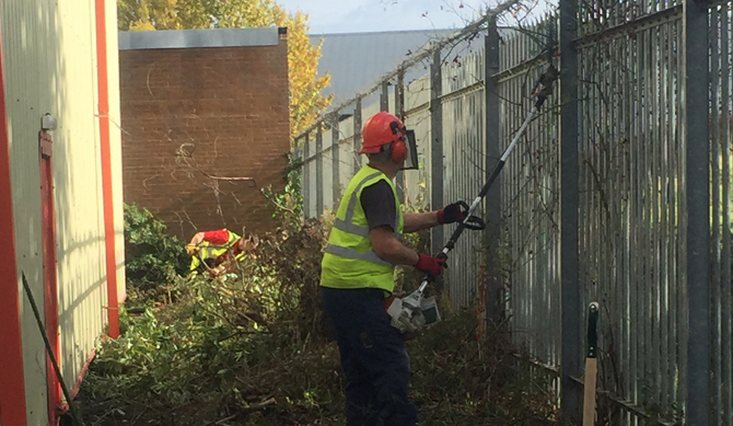 Terminator Weed Clearance